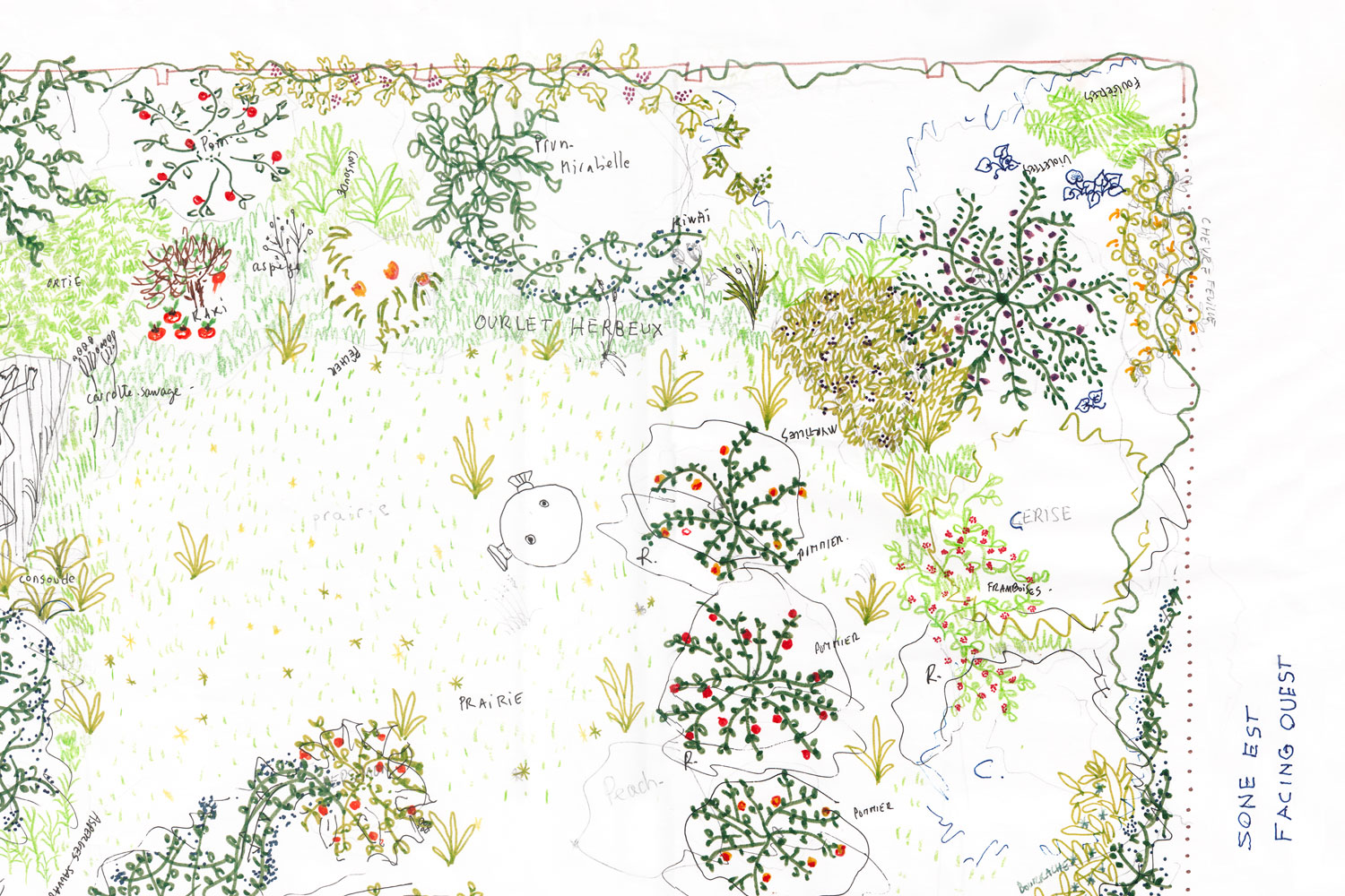 Un plan pour le jardin – Projet d’aménagement dans les limites du jardin par Louis Baguenault, Iris Lacoudre et Camille Sineau